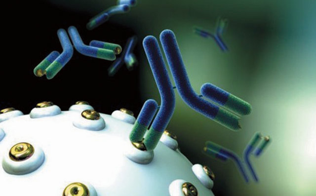 【抗体结合于病毒表面的示意图,来源:www.bioway-pku.com】